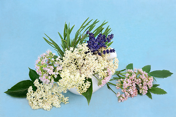 Image showing Valerian Lavender and Elder Flower Calming Herbs