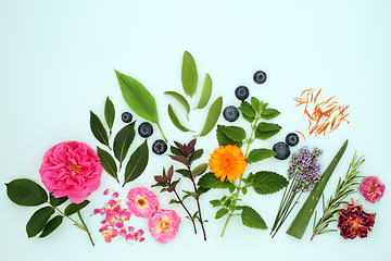 Image showing Herbs and Flowers for Natural Skincare Plant Based Treatments