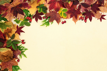 Image showing Autumn Leaf and Berry Background Border 