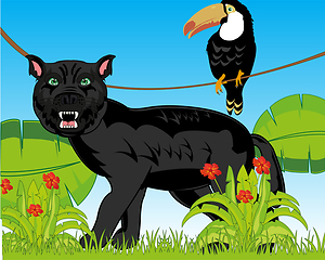 Image showing Jungle and wildlife blackenning panther on nature