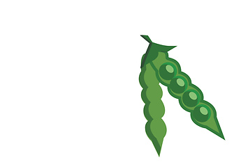 Image showing A green pea pod with several peas in the branches of a tree vect