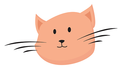 Image showing Portrait of the face of a brown cat vector or color illustration
