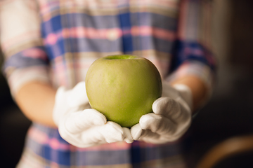 Image showing Close up of female hand holding green apple, healthy food, fruits