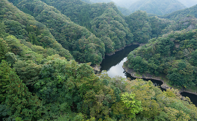Image showing Green Ryujin Valley