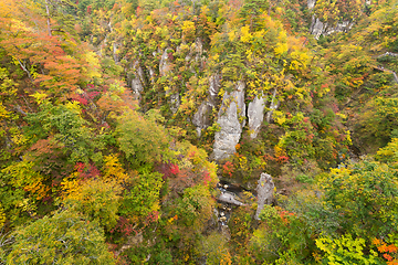 Image showing Naruko canyon of japan in autumn