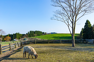 Image showing Beautiful Farm