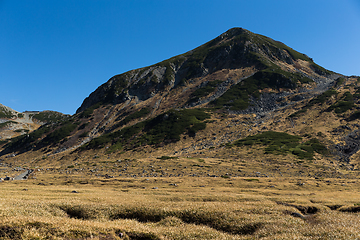 Image showing Hiking trail in Mount Tate