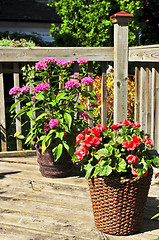 Image showing Flower pots on house deck