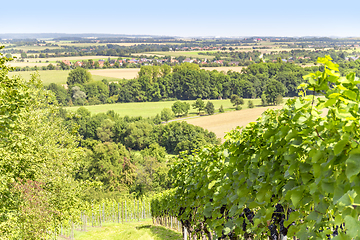 Image showing winegrowing scenery in Hohenlohe