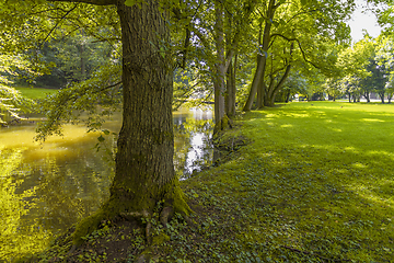 Image showing idyllic park scenery