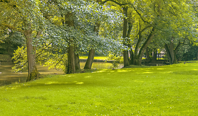 Image showing idyllic park scenery