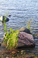 Image showing Rocks in water