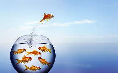 Image showing goldfish jumping out of the water from a  crowded bowl