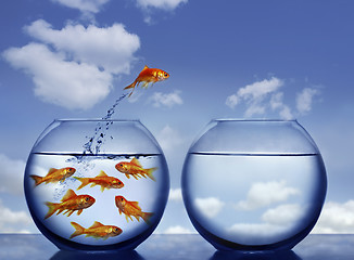 Image showing goldfish jumping out of the water