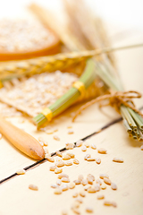 Image showing organic wheat grains