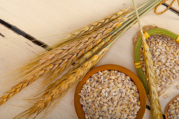 Image showing organic wheat grains