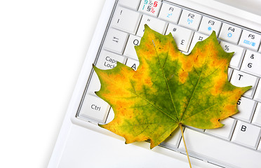 Image showing Laptop keyboard and  Autumn leaf