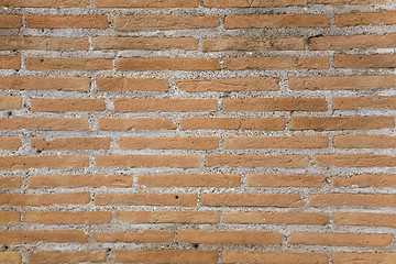 Image showing Brick wall texture