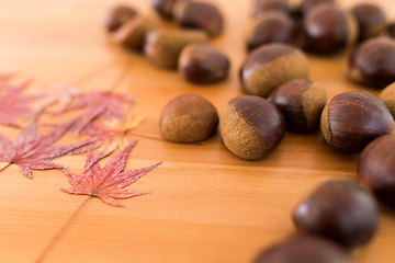 Image showing Maple leaves and chestnut