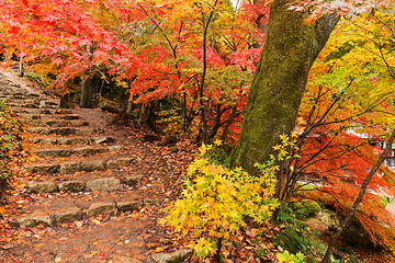 Image showing Japanese temple in autumn