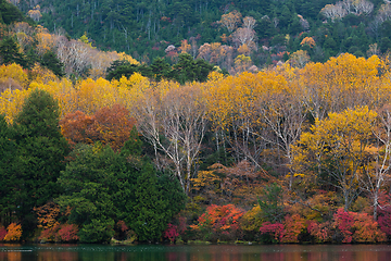 Image showing Yunoko lake in Nikko