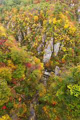 Image showing Naruko canyon in autumn season