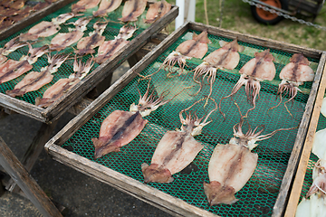 Image showing Drying squid in market