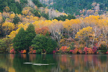 Image showing Yunoko lake in Nikko