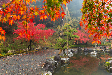 Image showing Japanese garden