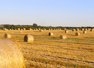 Image showing summer landscape