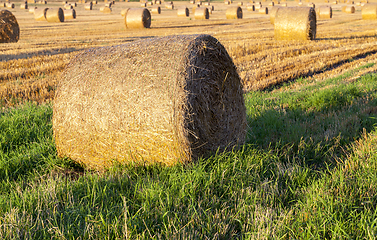 Image showing twisted yellow straw