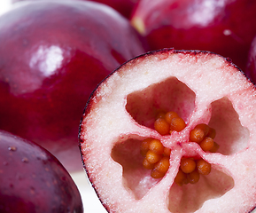 Image showing red sour cranberries