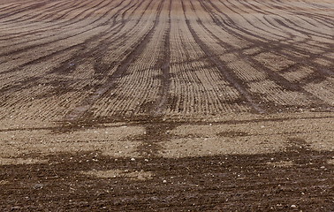 Image showing plowed field in autumn