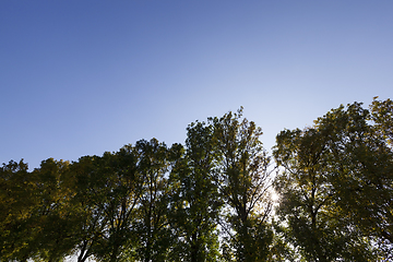 Image showing autumn sun