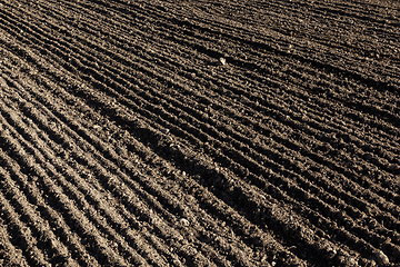 Image showing plowed soil