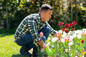 Image showing middle-aged man taking care of flowers at garden