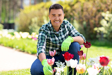 Image showing middle-aged man taking care of flowers at garden