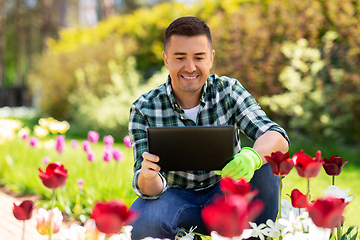 Image showing man with tablet pc and flowers at summer garden