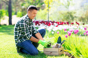 Image showing middle-aged man with tools in box at summer garden