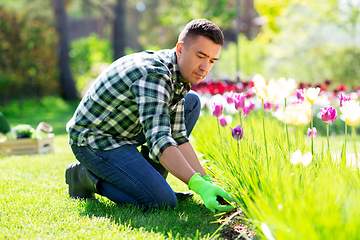 Image showing man taking care of flowers at garden