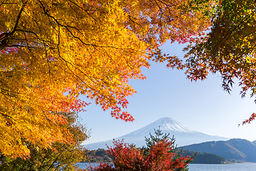 Image showing Mt. Fuji in autumn season