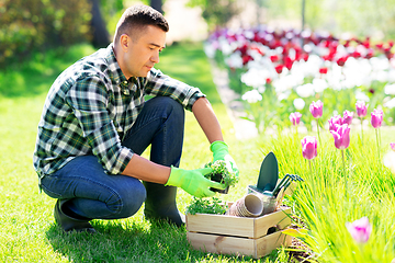 Image showing middle-aged man with tools in box at summer garden