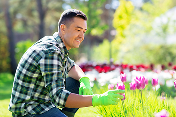 Image showing happy man taking care of flowers at garden