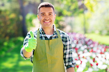 Image showing happy man in apron showing thumbs up at garden