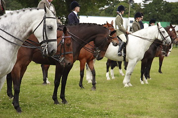 Image showing county show dressage 