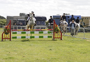Image showing show jumping