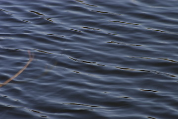 Image showing rippled water background