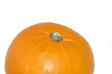 Image showing large pumpkin isolated