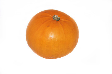 Image showing large pumpkin isolated