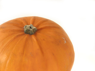 Image showing large pumpkin isolated